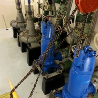 Northern Electrical Services